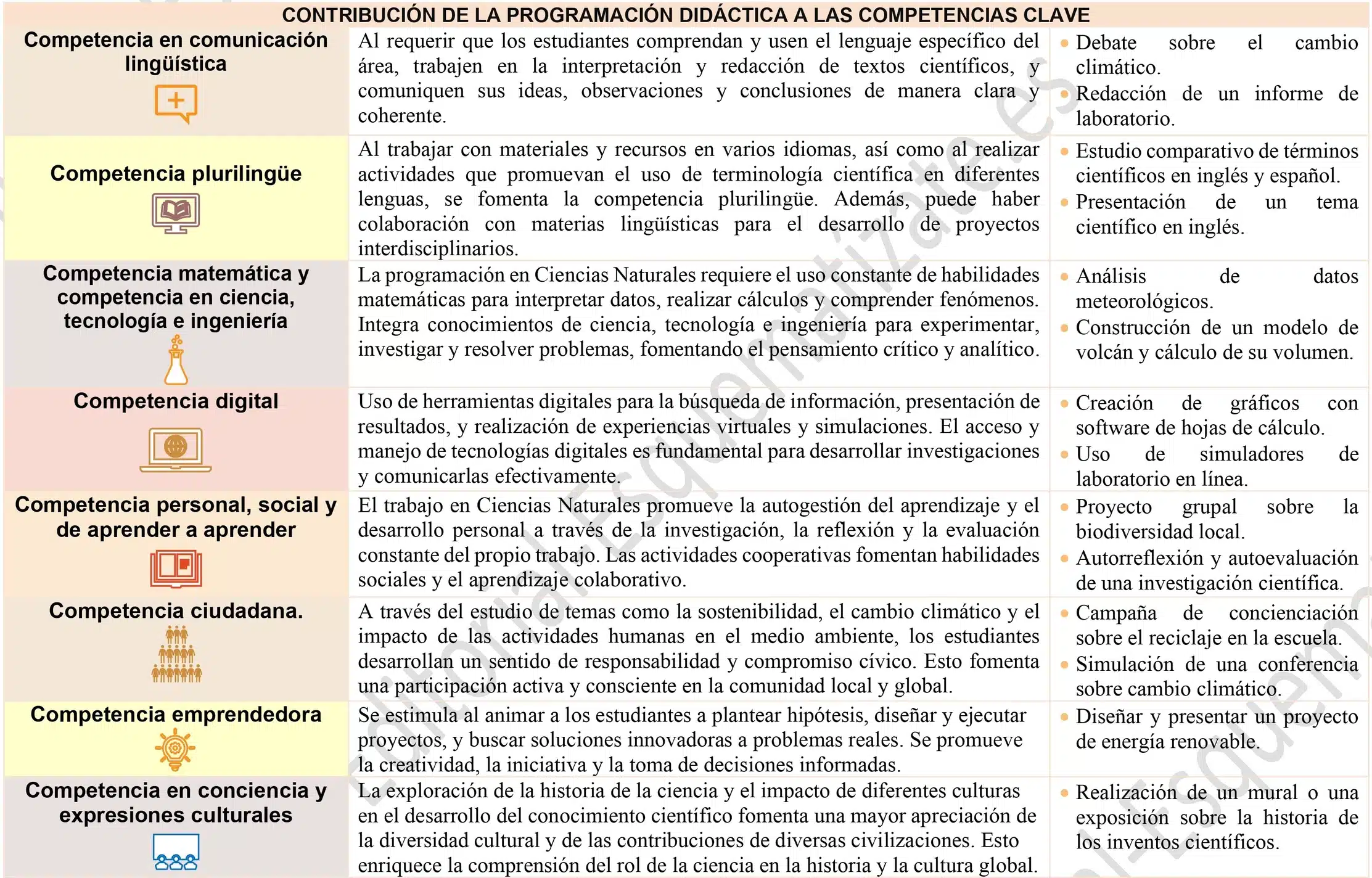 Maqueta tu programación