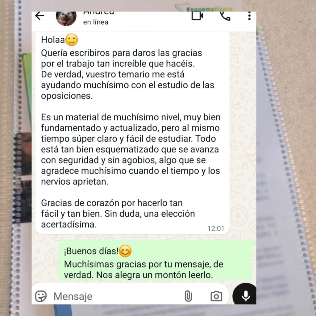 1A IMAGEN WASSP CANVA page 0001 1